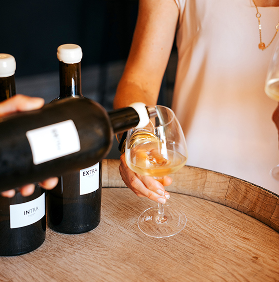 Dégustation privée commentée des vins Xavier Vignon