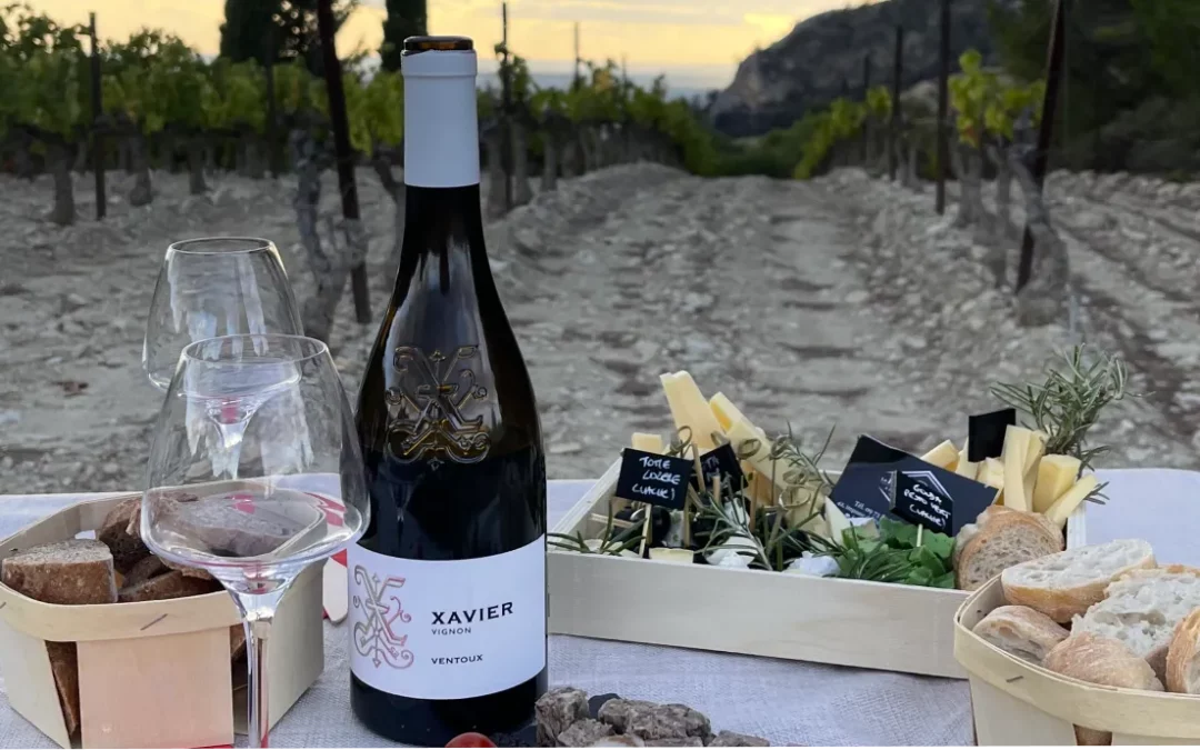 Oenotourisme chez Xavier Vignon.