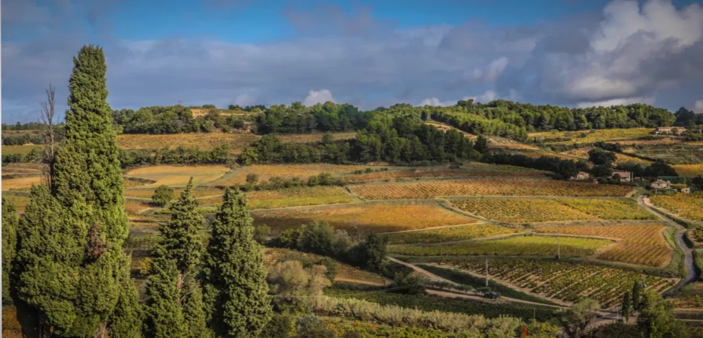 Rasteau, le cru ensoleillé.