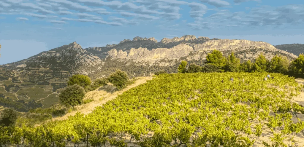 Le terroir, qu’est-ce que c’est ?