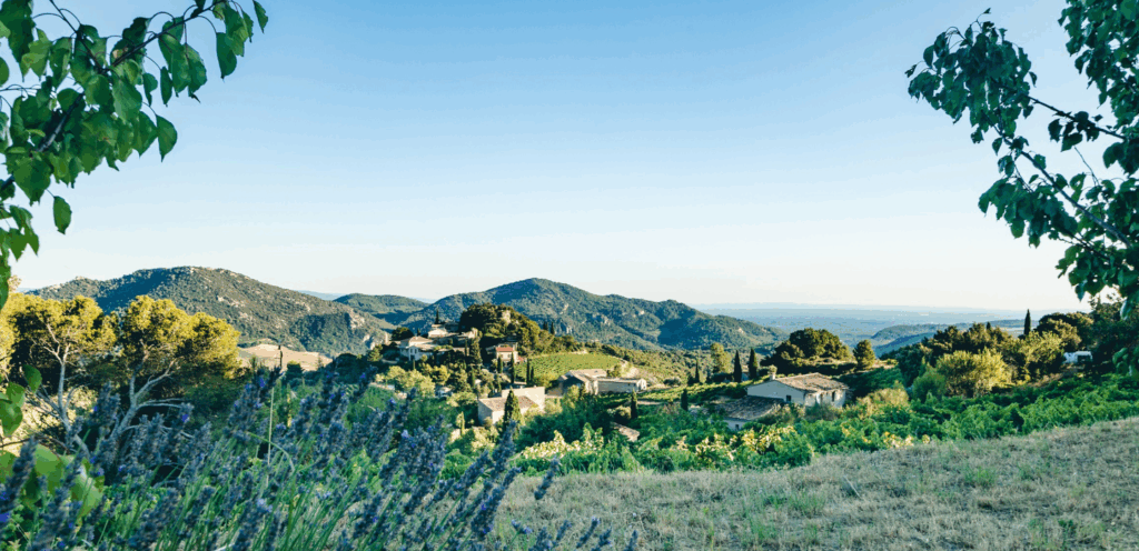 5 Questions sur l’Appellation Beaumes-de-Venise et Ses Vins.