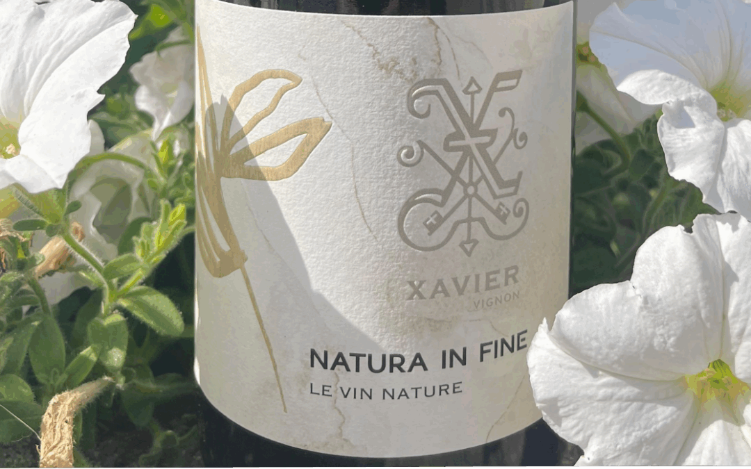 Le vin naturel : effet de mode ou vraie révolution ?