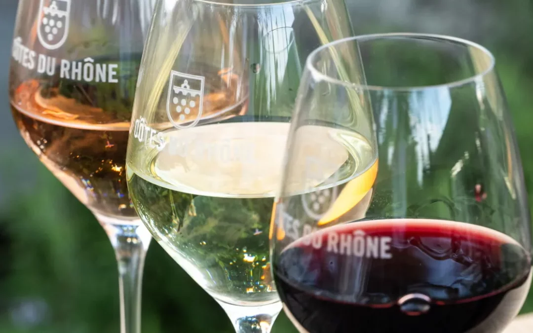 Les arômes du vin : comment le vin développe-t-il sa palette aromatique ?